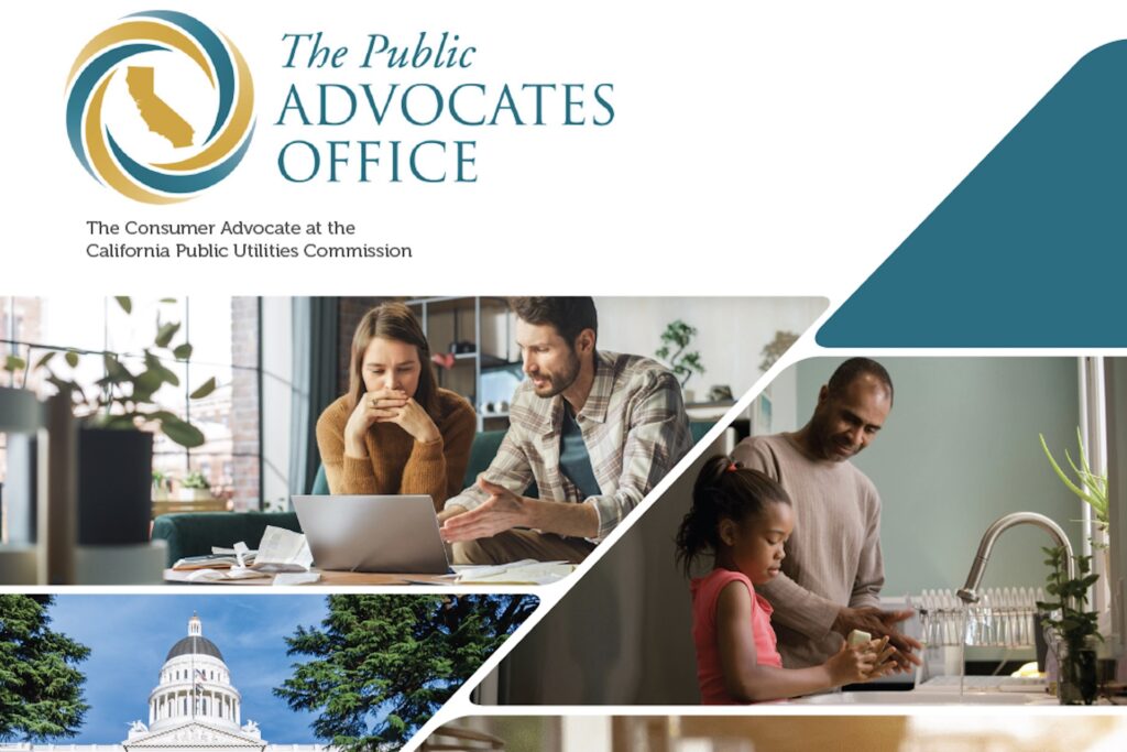 PDDG January 2026 Newsletter